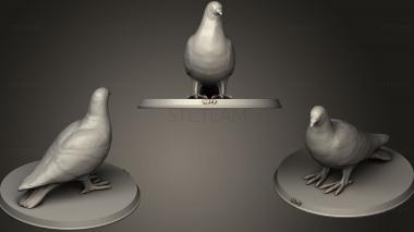 3D model Dove (STL)